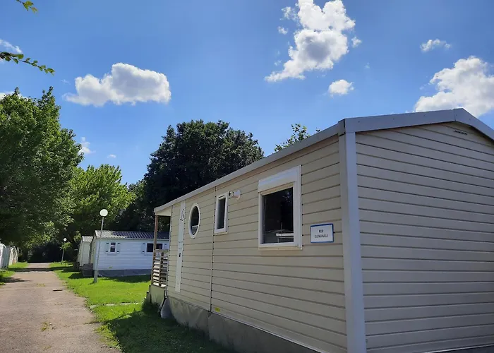 Hôtel accueillant les animaux: Camping de l'Ill